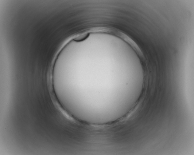 X0000114660852200910201019