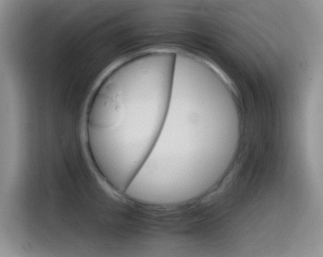X0000114660853200910201019