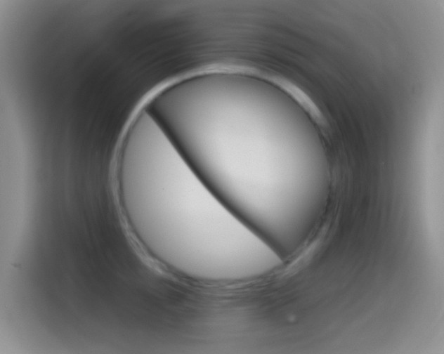 X0000114660854200910201019