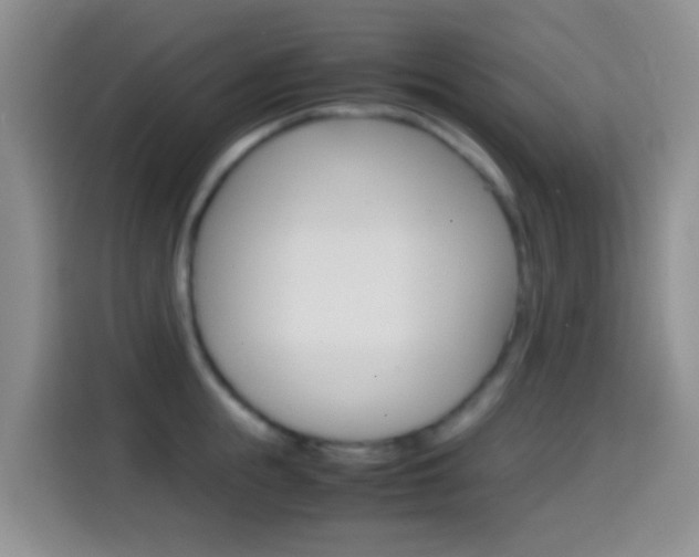 X0000114660855200910201019