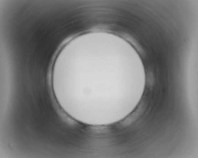 X0000114660856200910201019