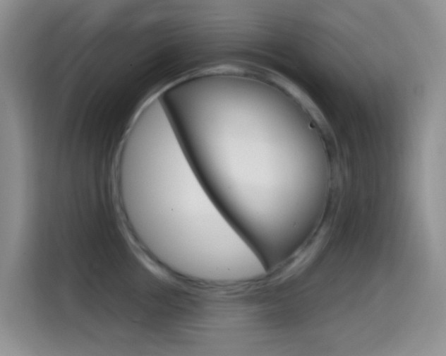 X0000114660858200910201019
