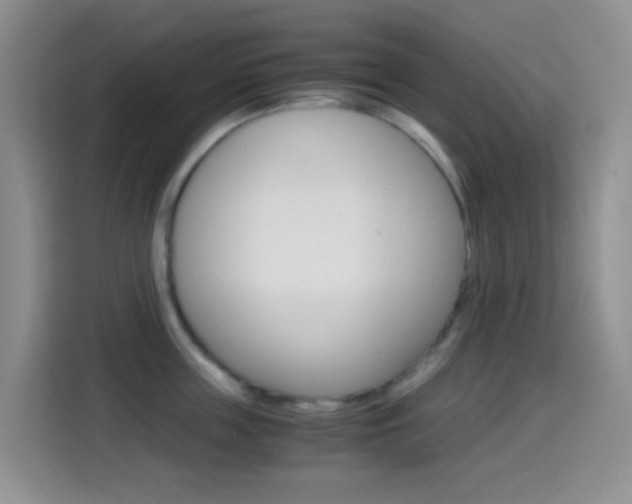 X0000114660859200910201019