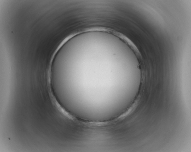 X0000114660860200910201019