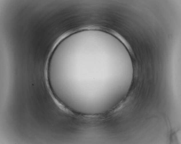 X0000114660861200910201019