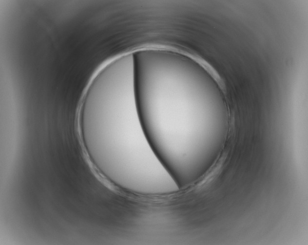 X0000114660862200910201019