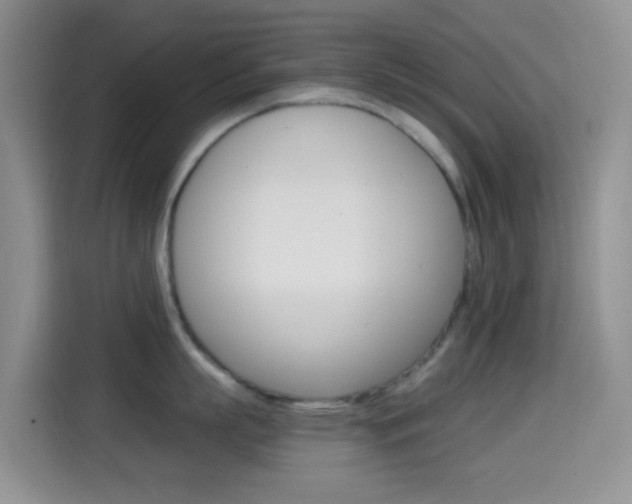 X0000114660863200910201019