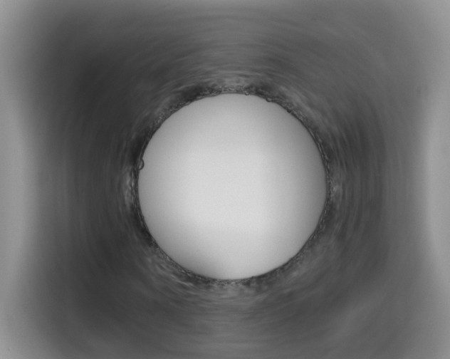 X0000114660866200910201019