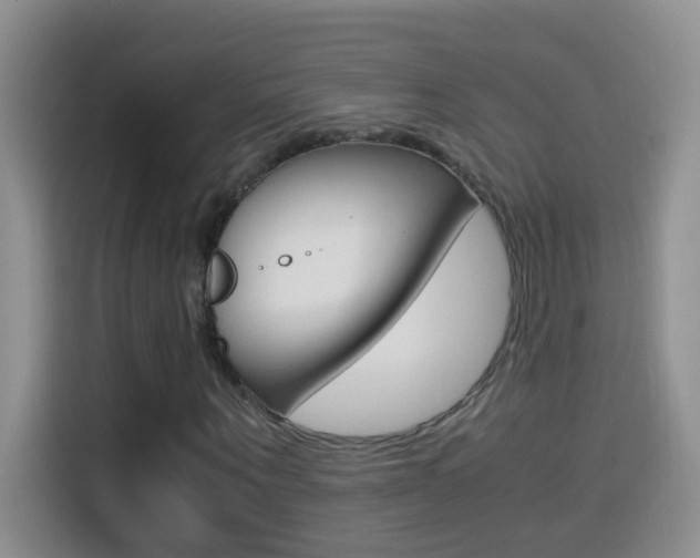 X0000114660867200910201019