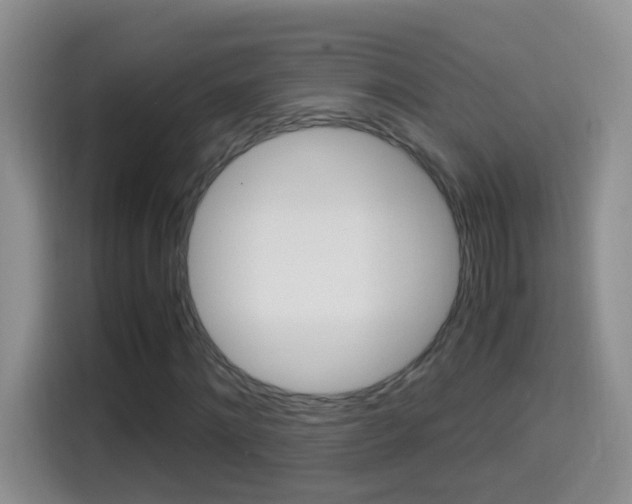 X0000114660868200910201019