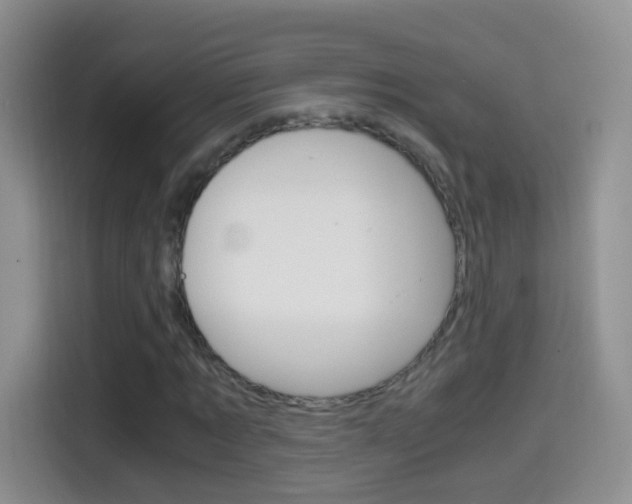 X0000114660869200910201019