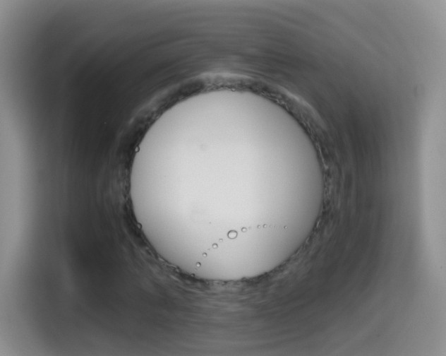 X0000114660870200910201019
