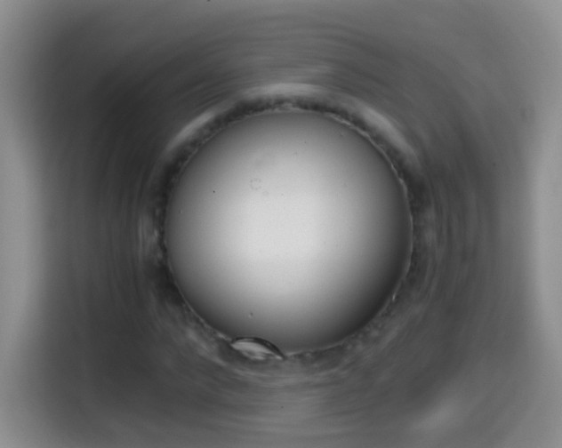 X0000114660872200910201019