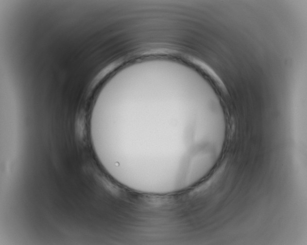 X0000114660874200910201019