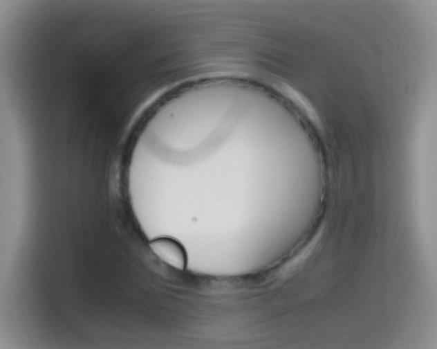 X0000114660875200910201019