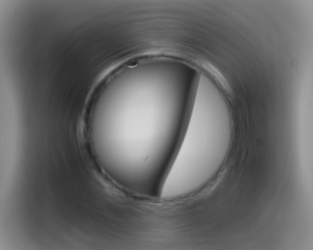 X0000114660876200910201019