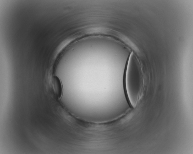 X0000114660877200910201019