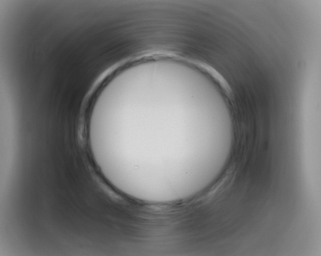 X0000114660878200910201019