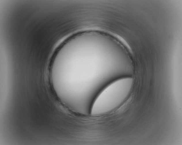 X0000114660879200910201019