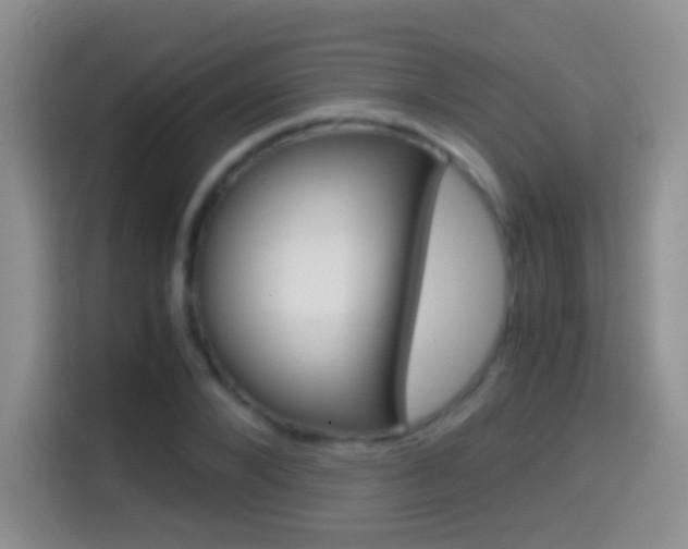X0000114660880200910201019