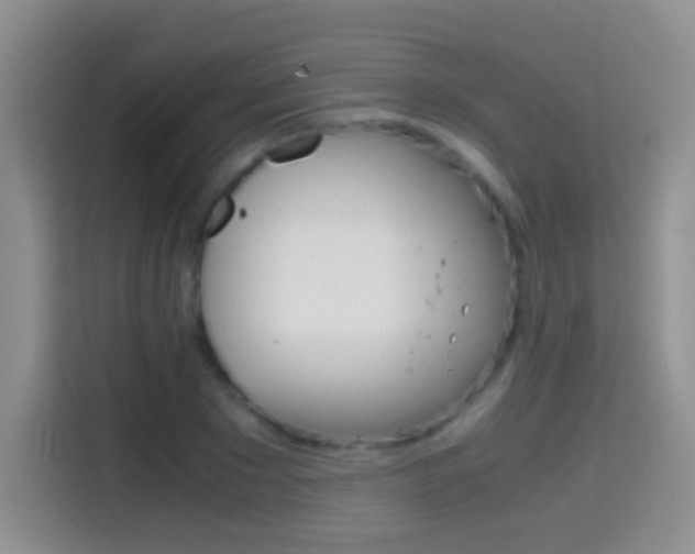 X0000114660881200910201019