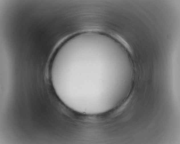 X0000114660883200910201018