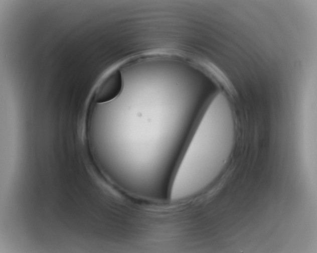 X0000114660884200910201018