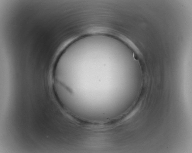 X0000114660885200910201018