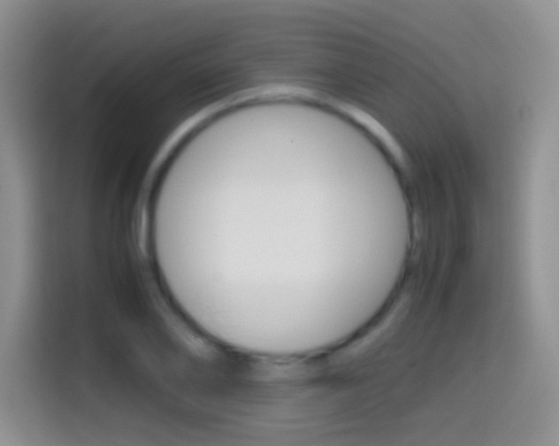 X0000114660886200910201018