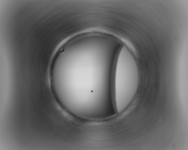 X0000114660888200910201018