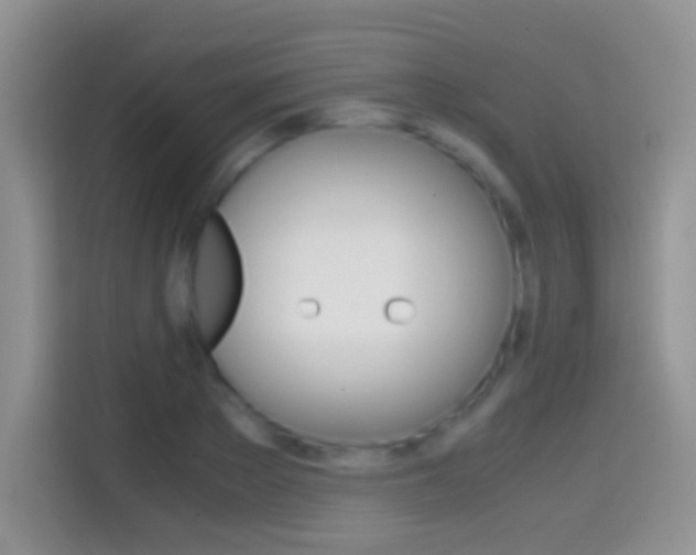 X0000114660889200910201018