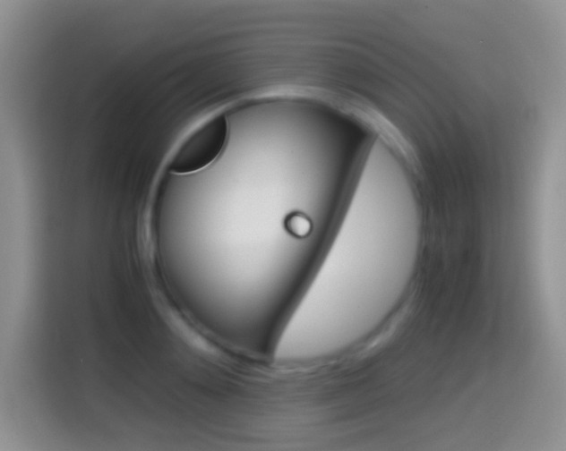 X0000114660892200910201018