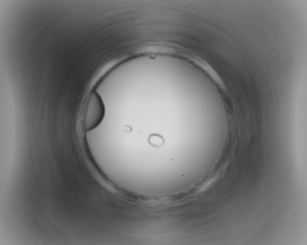 X0000114660893200910201018