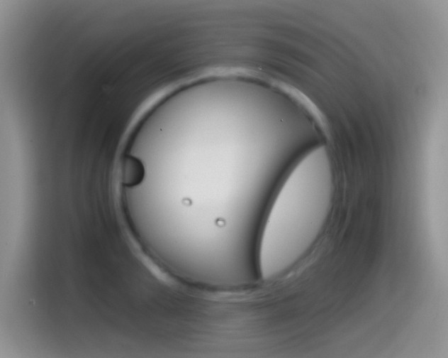 X0000114660894200910201018