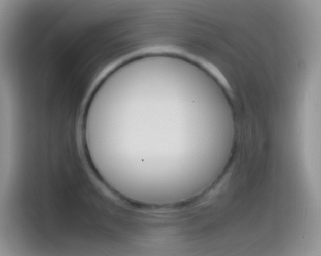 X0000114660895200910201018