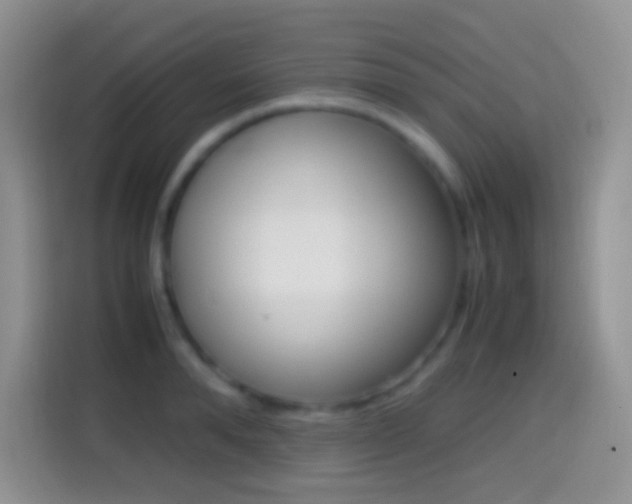 X0000114660896200910201018