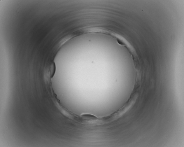 X0000114660897200910201018