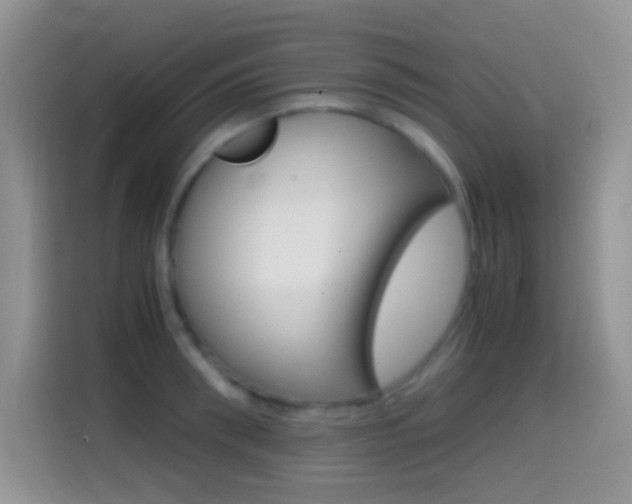 X0000114660898200910201018