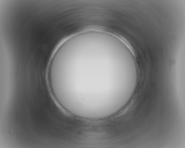 X0000114660901200910201018