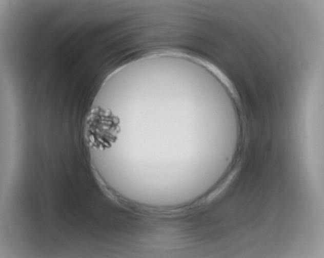 X0000114660905200910201018