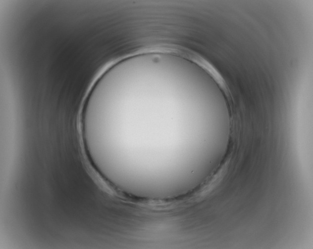X0000114660907200910201018