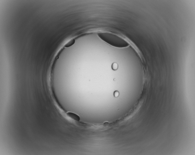 X0000114660909200910201018