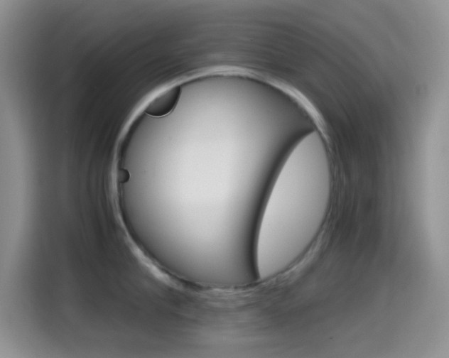 X0000114660910200910201018