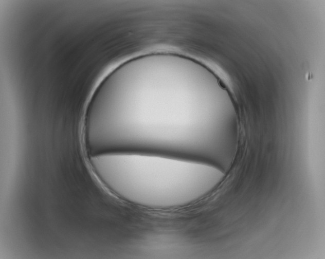 X0000114660911200910201018
