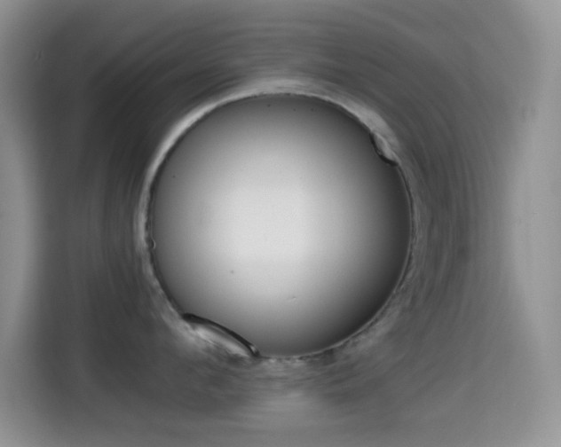X0000114660912200910201018