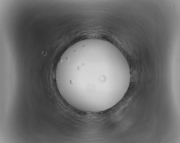 X0000114660913200910201017