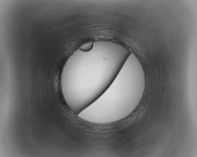 X0000114660915200910201018