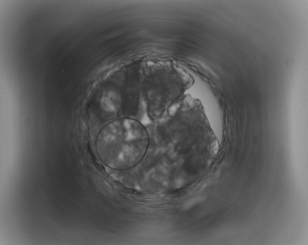 X0000114660917200910201018