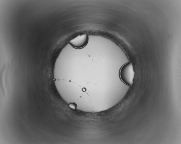 X0000114660918200910201018