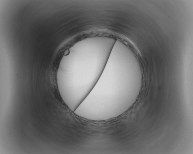X0000114660919200910201018